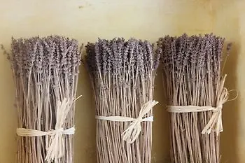 Finardi Bed & Breakfast *